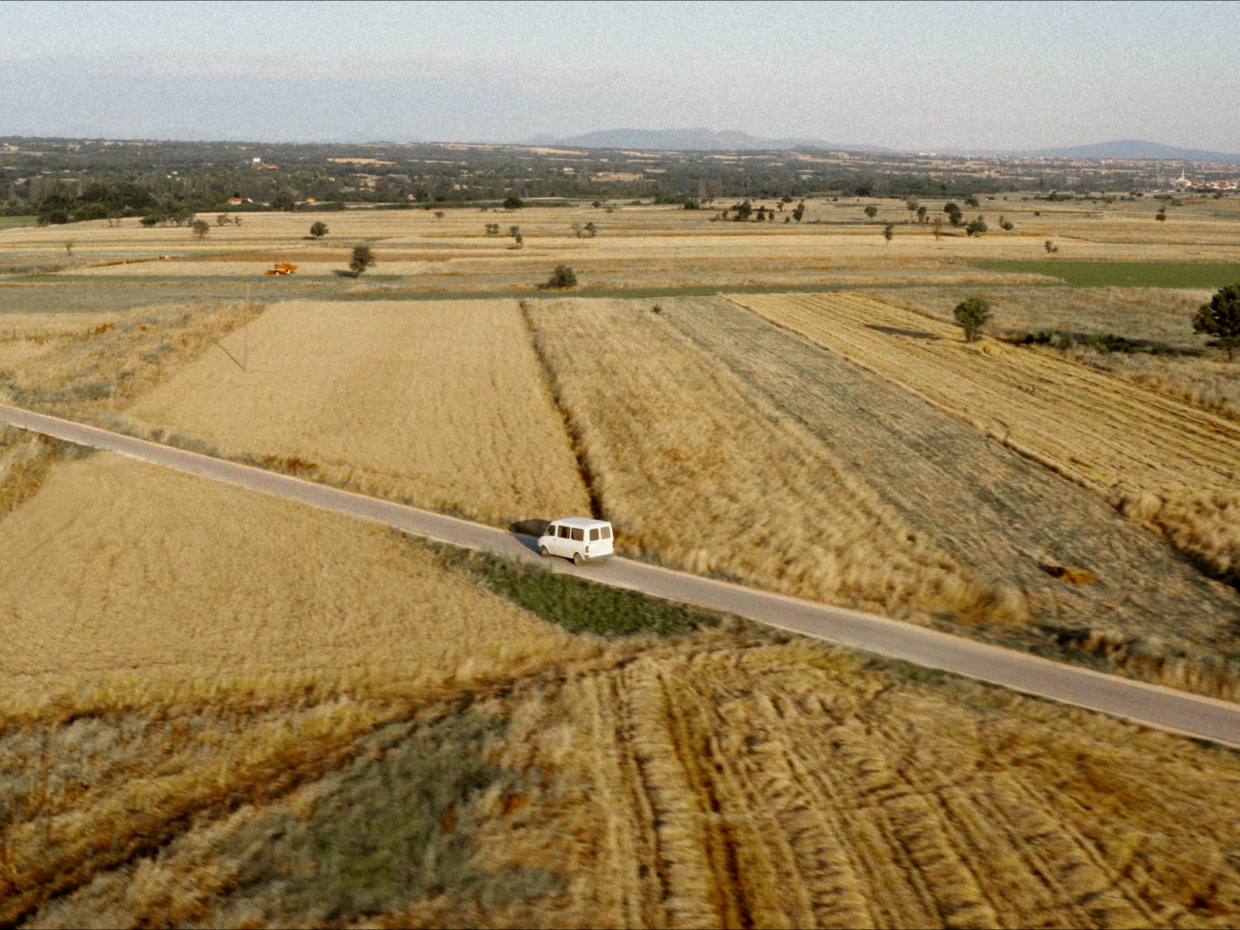 Antigona still