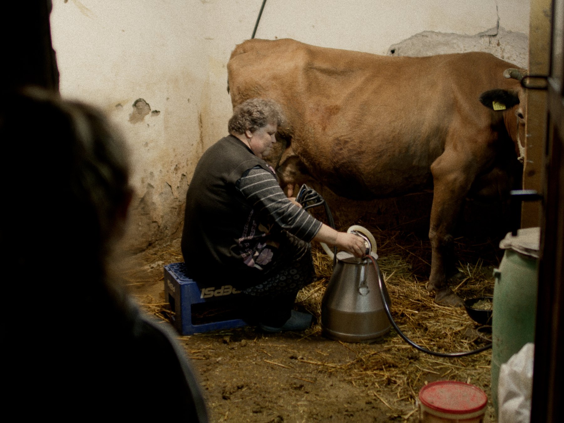 Antigona still